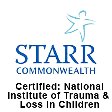 certifcate-national-institute-for-trauma-and-loss-in-children